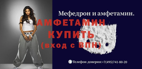 молекула духа Белая Холуница