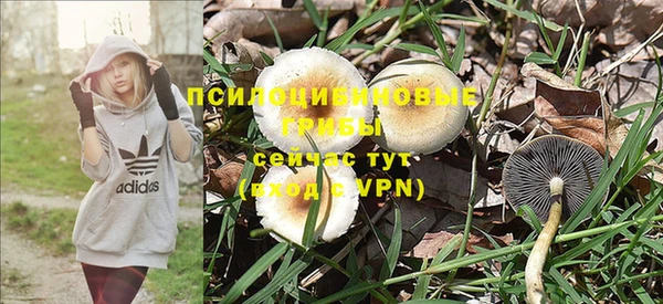 героин Лиски
